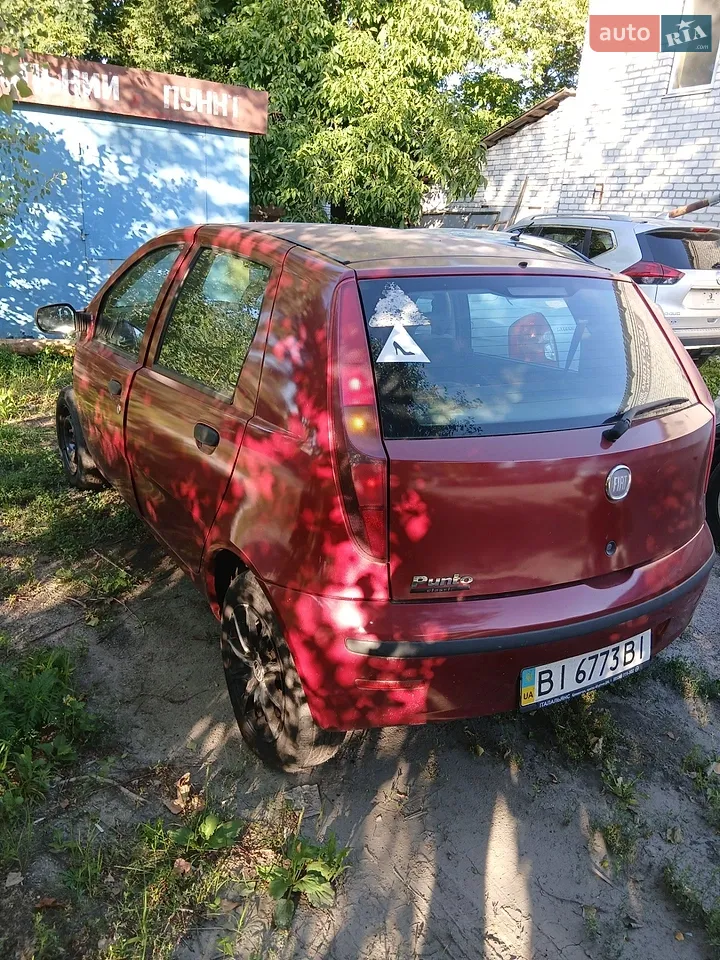 2010 Fiat Punto - мініатюра 3