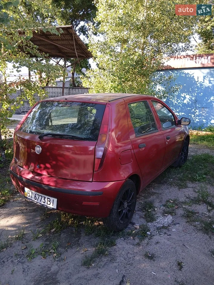 2010 Fiat Punto - мініатюра 2