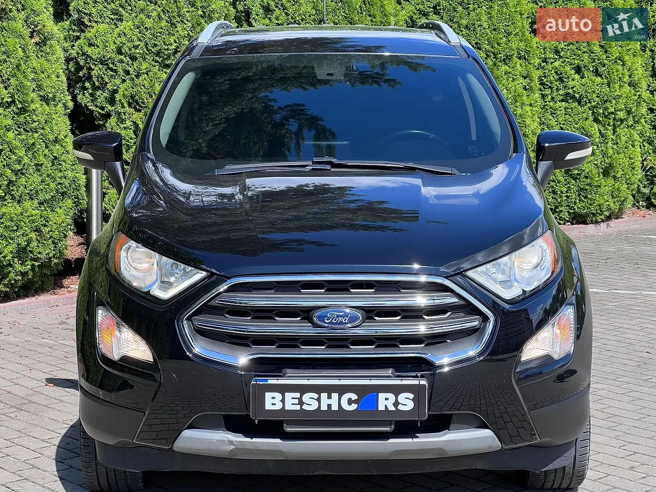 2019 Ford EcoSport - мініатюра 2