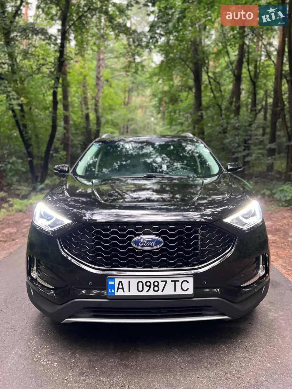 2019 Ford Edge - мініатюра 5