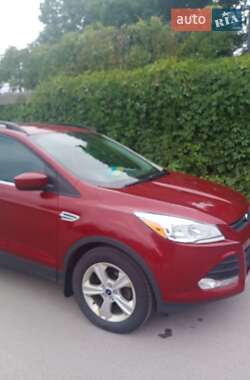 Ford Escape  2013