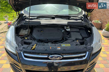 Ford Escape  2013