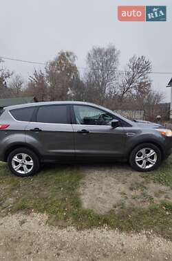 Ford Escape  2013