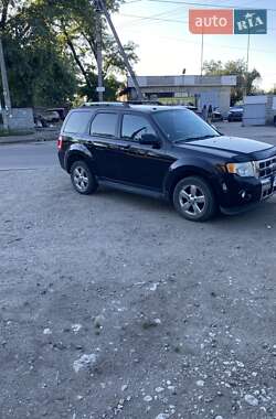 Ford Escape  2010