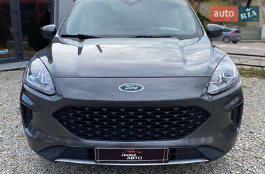 Ford Escape  2019