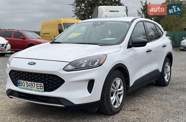 Ford Escape  2019