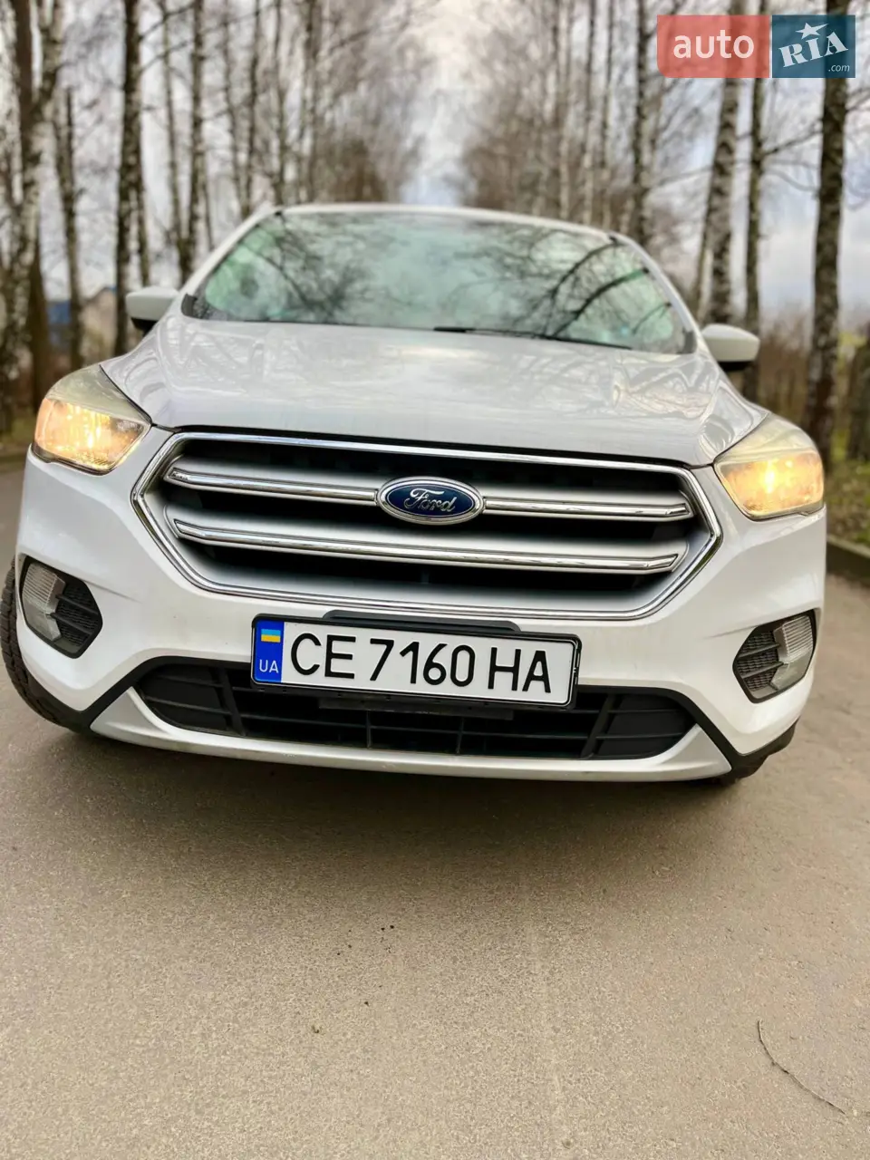 2017 Ford Escape - мініатюра 3