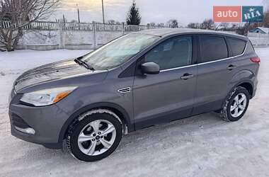 Ford Escape  2013