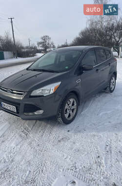 Ford Escape 2014