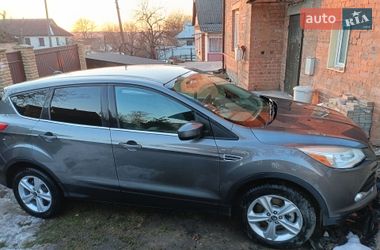 Позашляховик / Кросовер Ford Escape 2013 в Хмельницькому