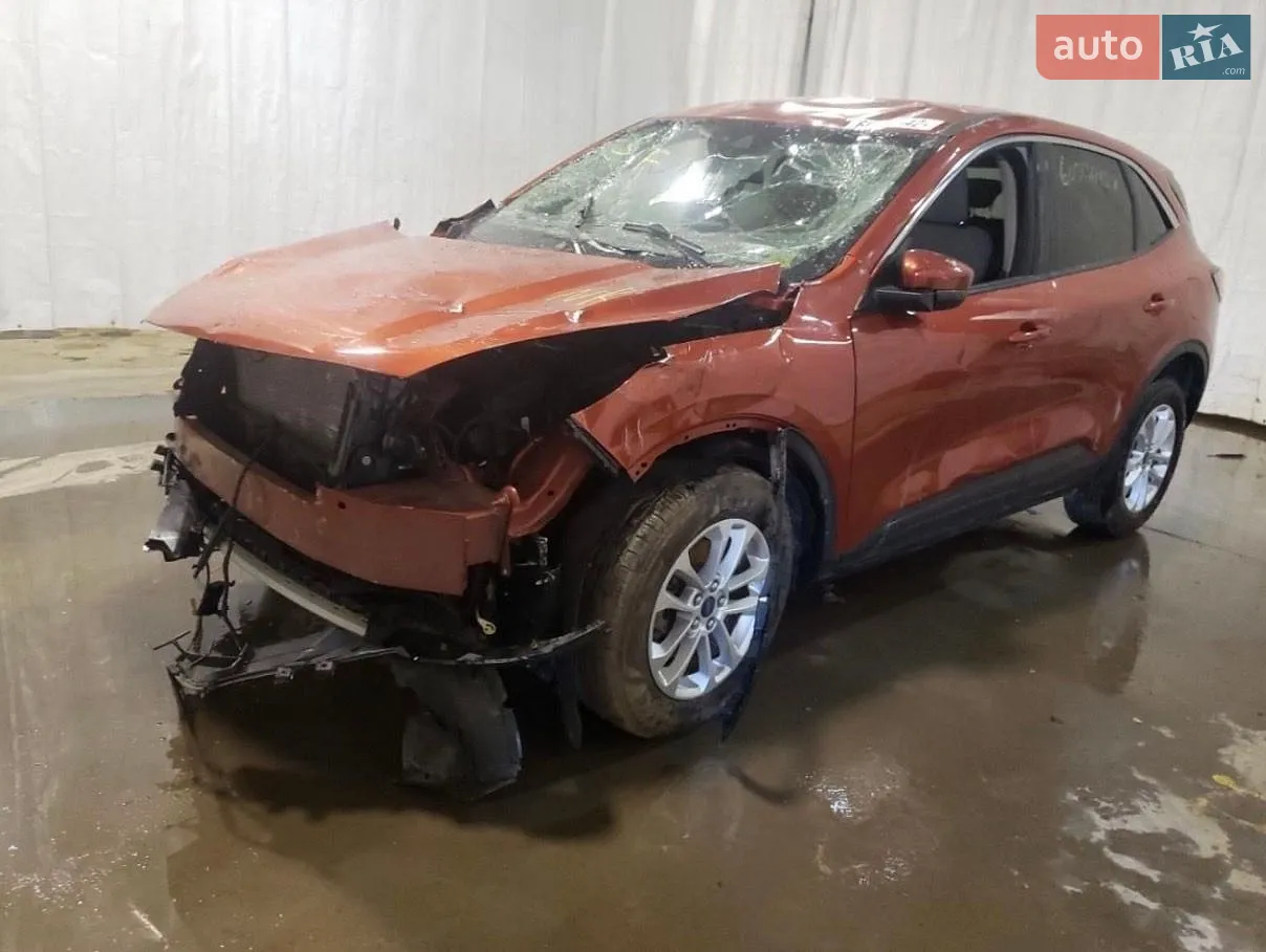 2019 Ford Escape - мініатюра 2