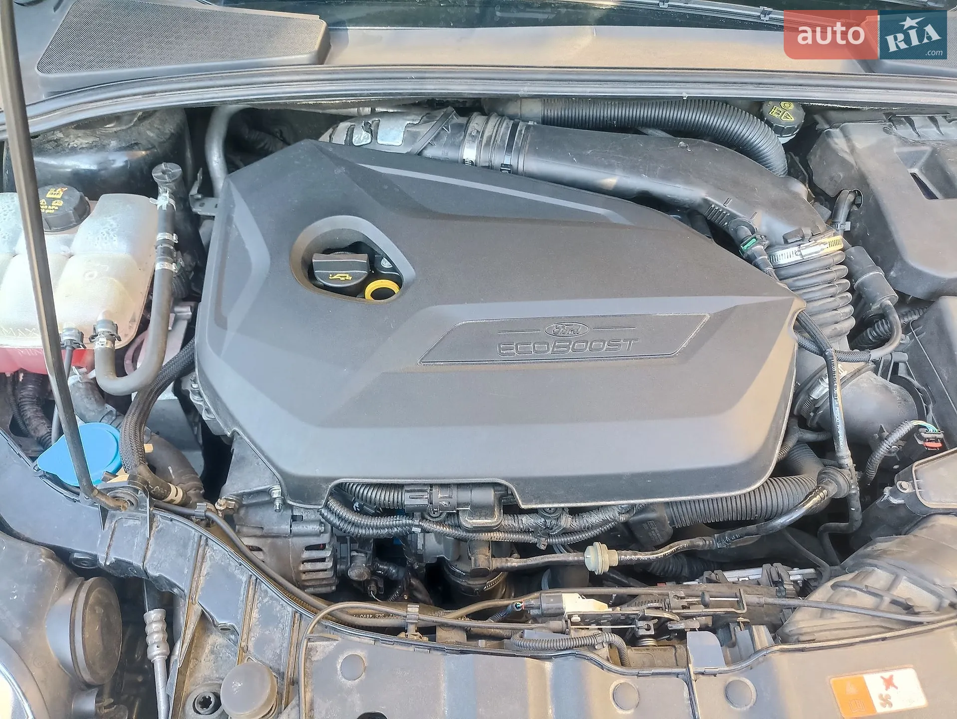 Ford Focus 2011 VIN WF0LXXGCBLBT68575 фото оголошення 33 з 34