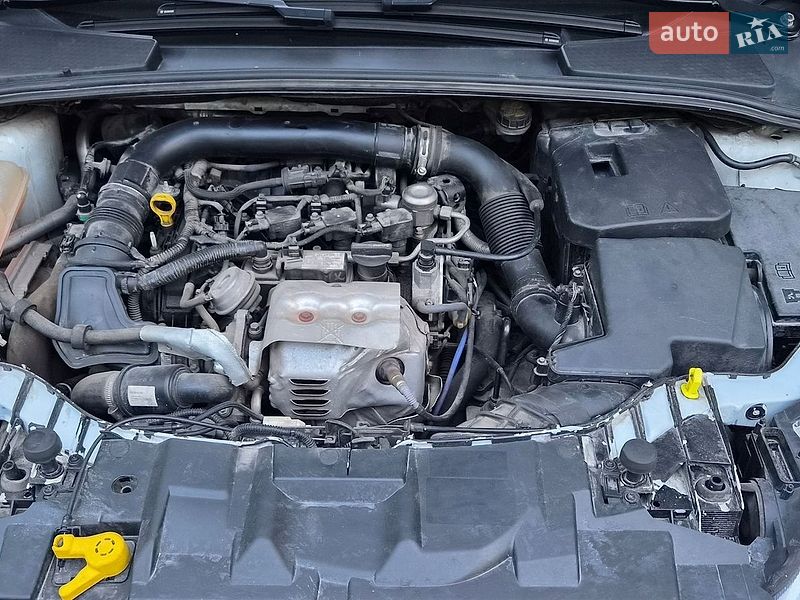 Хэтчбек Ford Focus 2015 в Днепре фото 19 Хэтчбек Ford Focus 2015 в Днепре