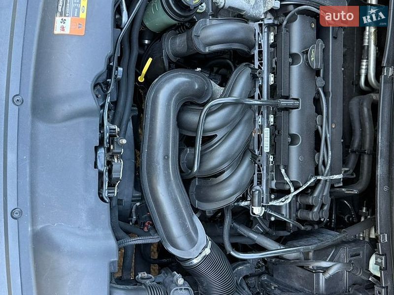 Универсал Ford Focus 2008 в Бердичеве