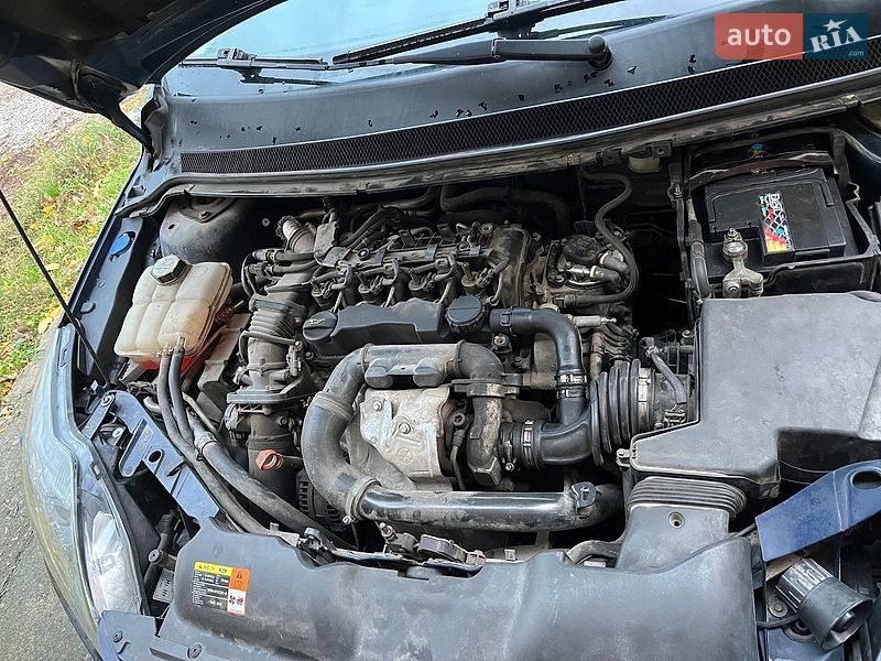 Універсал Ford Focus 2009 в Миколаєві