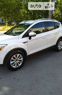 Ford Kuga  2010