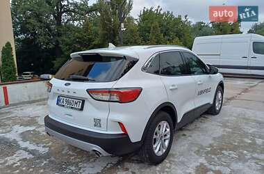Ford Kuga  2023