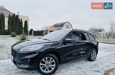 Ford Kuga  2022