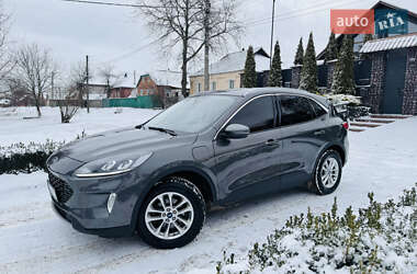 Ford Kuga  2021