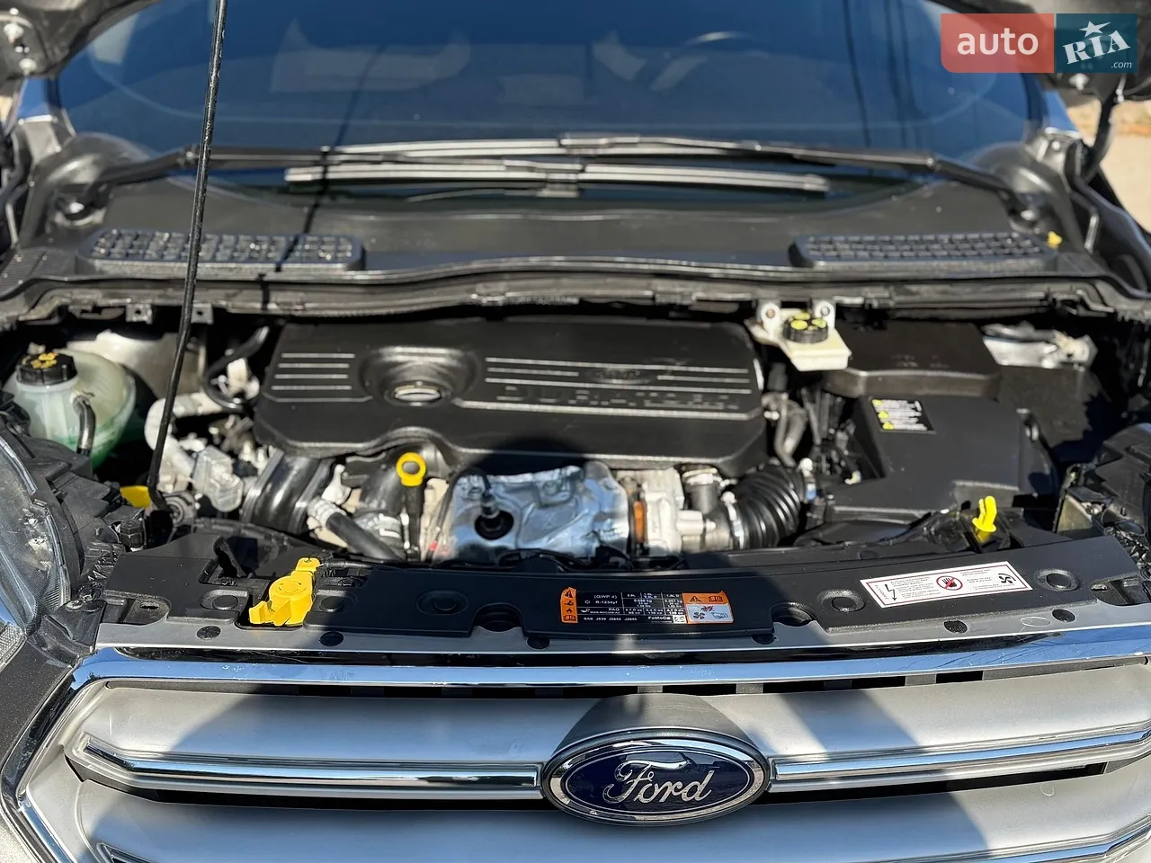 2019 Ford Kuga - мініатюра 2