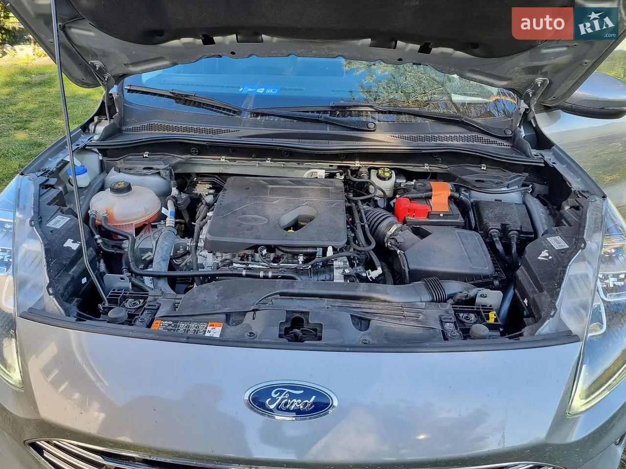 2022 Ford Kuga - мініатюра 2