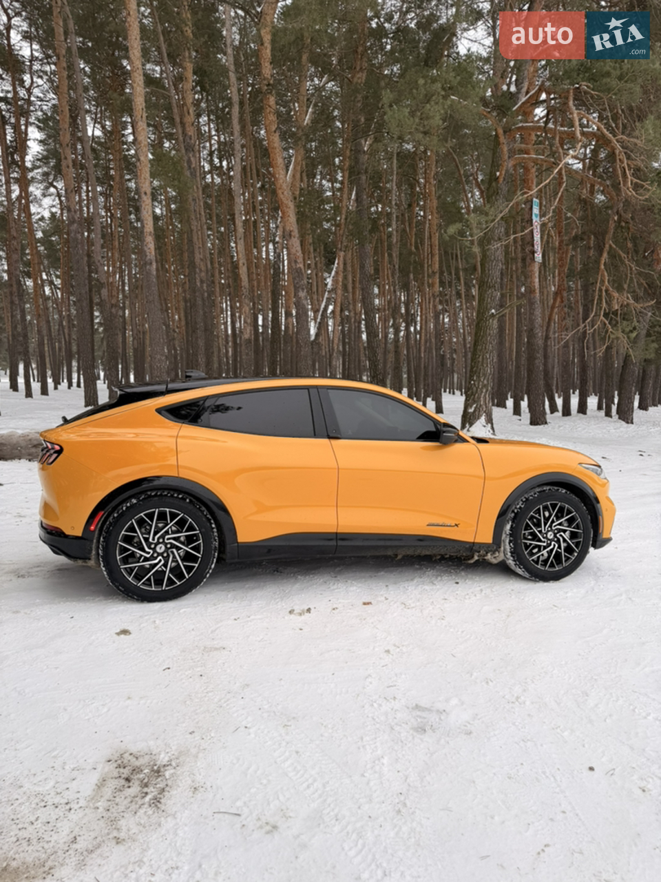 2022 Ford Mustang Mach-E - мініатюра 5