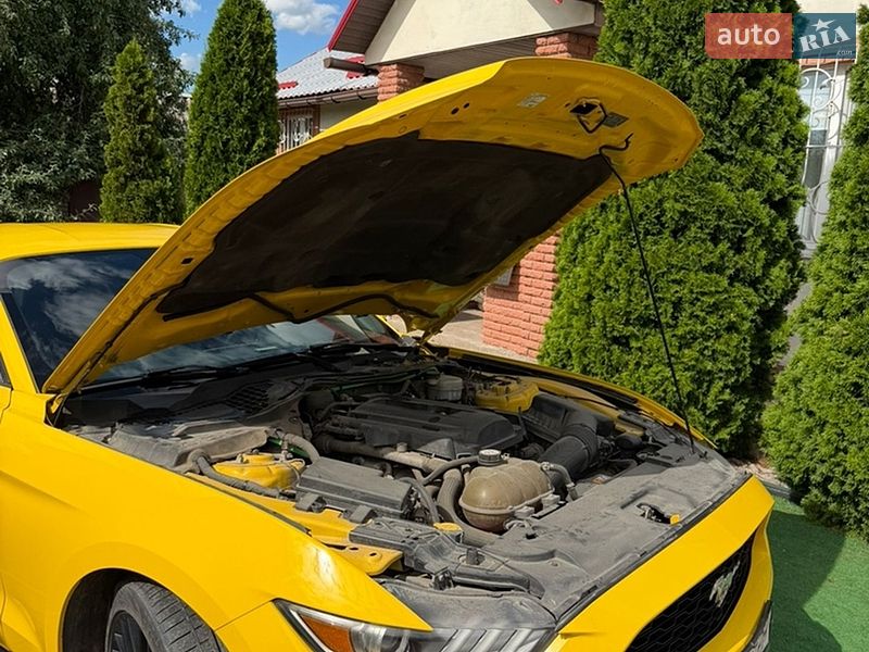 Купе Ford Mustang 2014 в Вольногорске