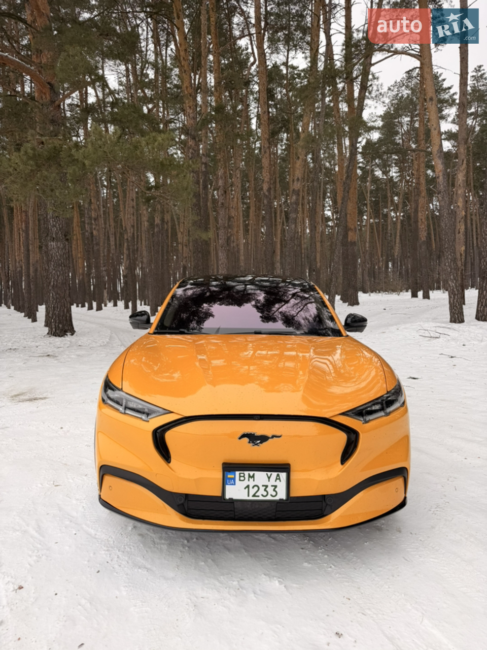 2022 Ford Mustang Mach-E - фото 1