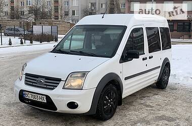 Ford Tourneo Connect  2010