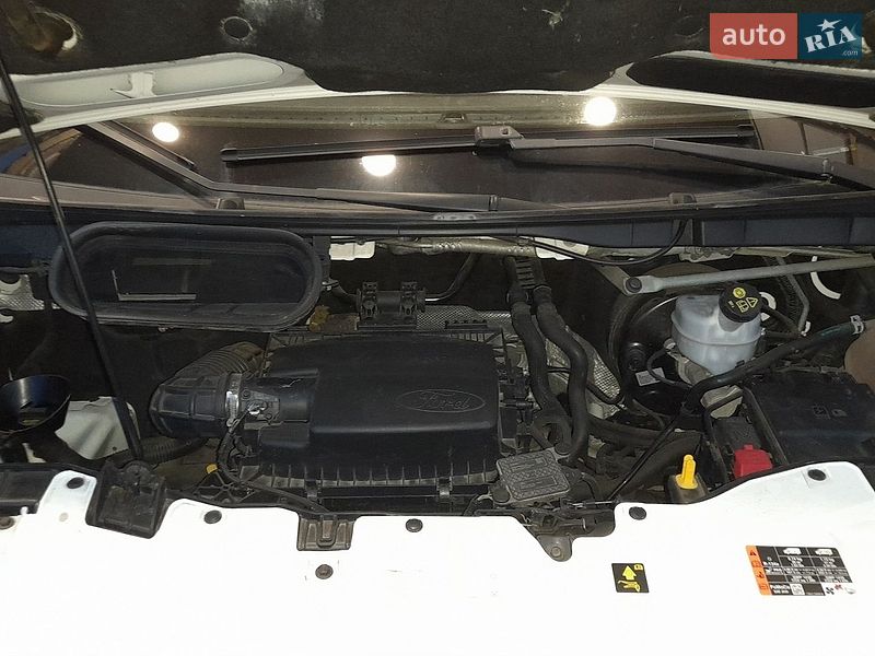 Микроавтобус грузовой (до 3,5т) Ford Transit 2019 в Черкассах