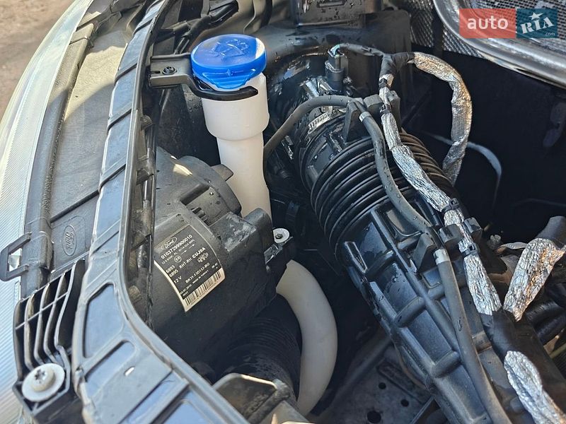 Борт Ford Transit 2019 в Днепре