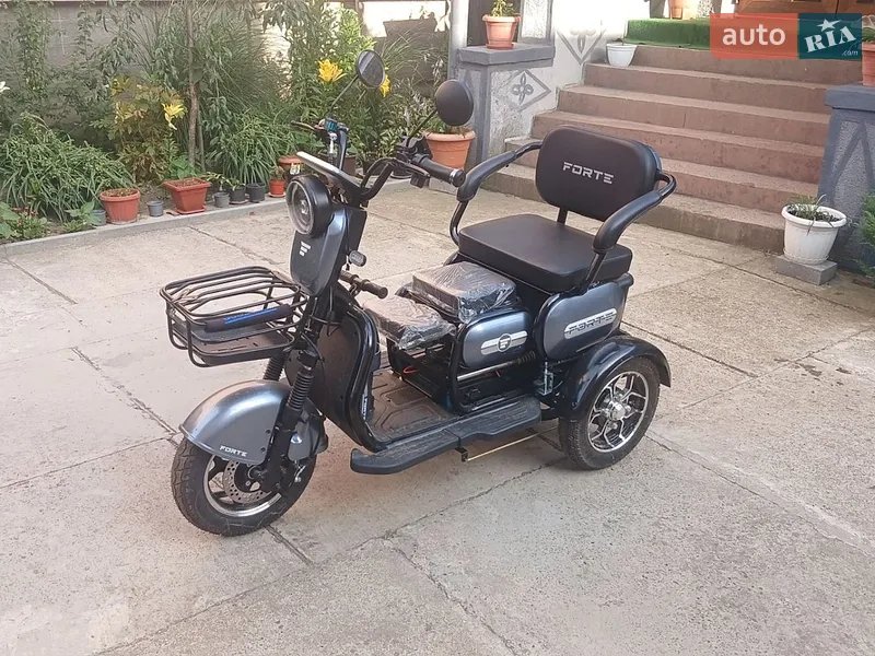 Forte Family Max 2025