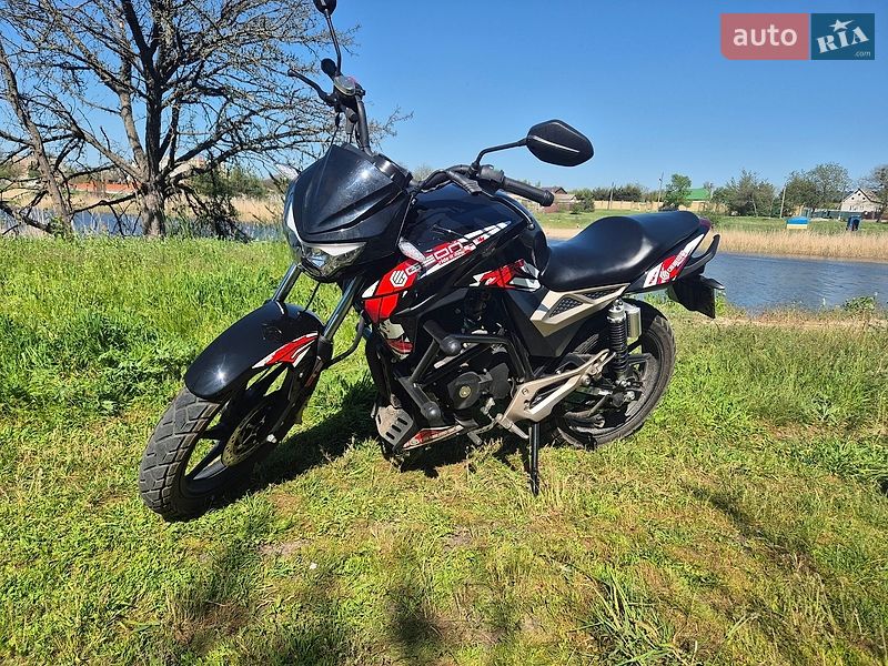 Мотоцикл Без обтекателей (Naked bike) Geon Pantera 250