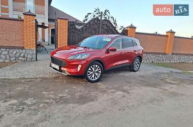 Ціни Ford Escape Гібрид (HEV)