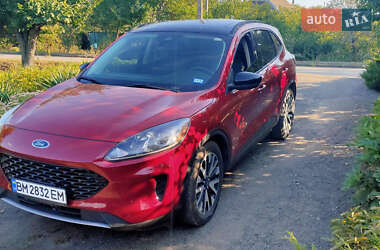 Цены Ford Escape Гибрид (HEV)