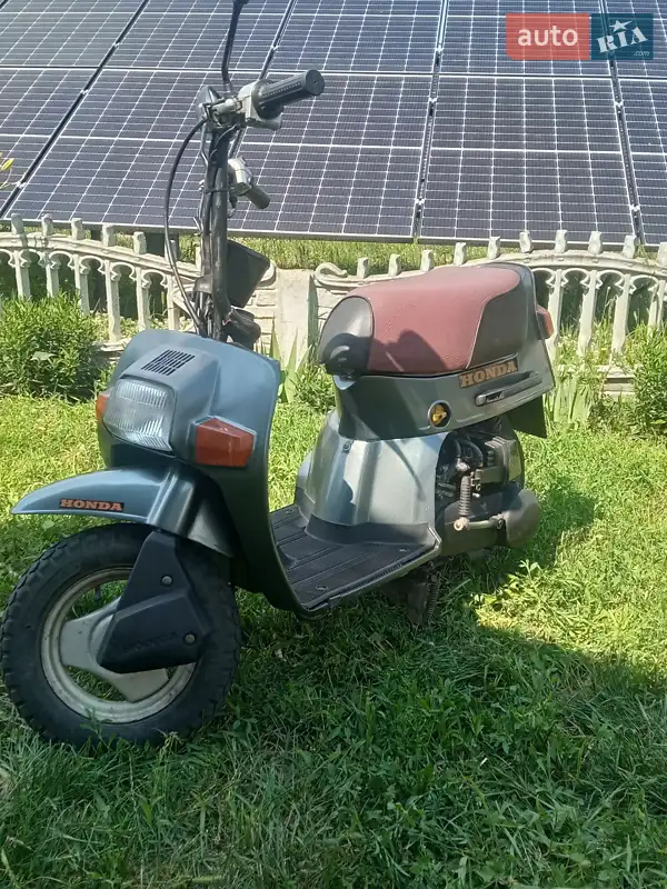 Honda Squash 50 1982