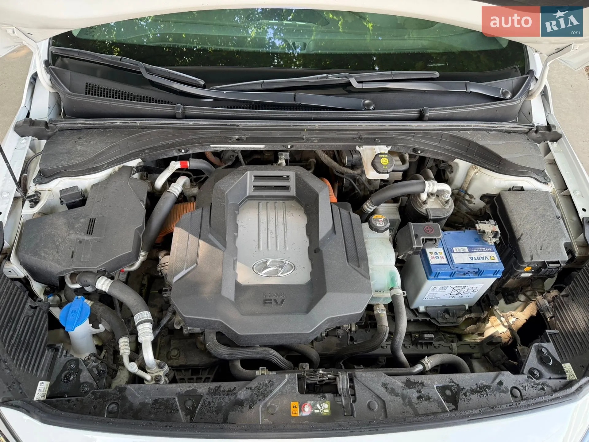 Hyundai Ioniq 2019 VIN KMHC751HFKU044416 фото оголошення 118 з 121