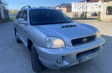 Hyundai Santa FE  2002