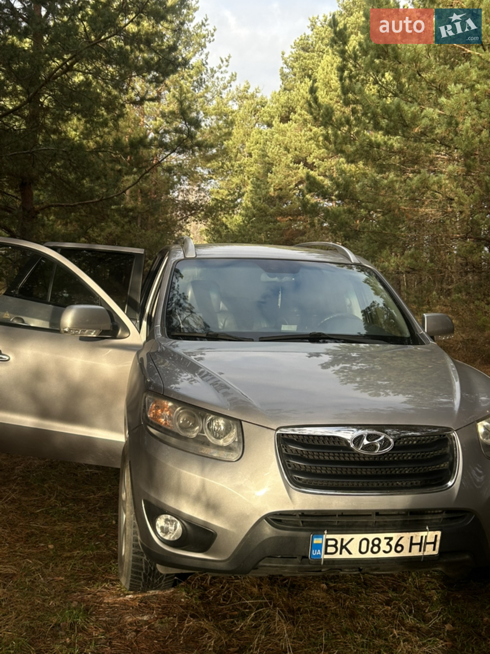 2010 Hyundai Santa Fe - мініатюра 4