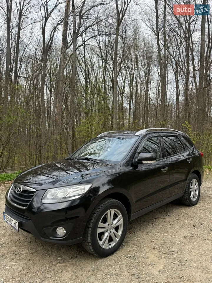 2010 Hyundai Santa Fe - мініатюра 5