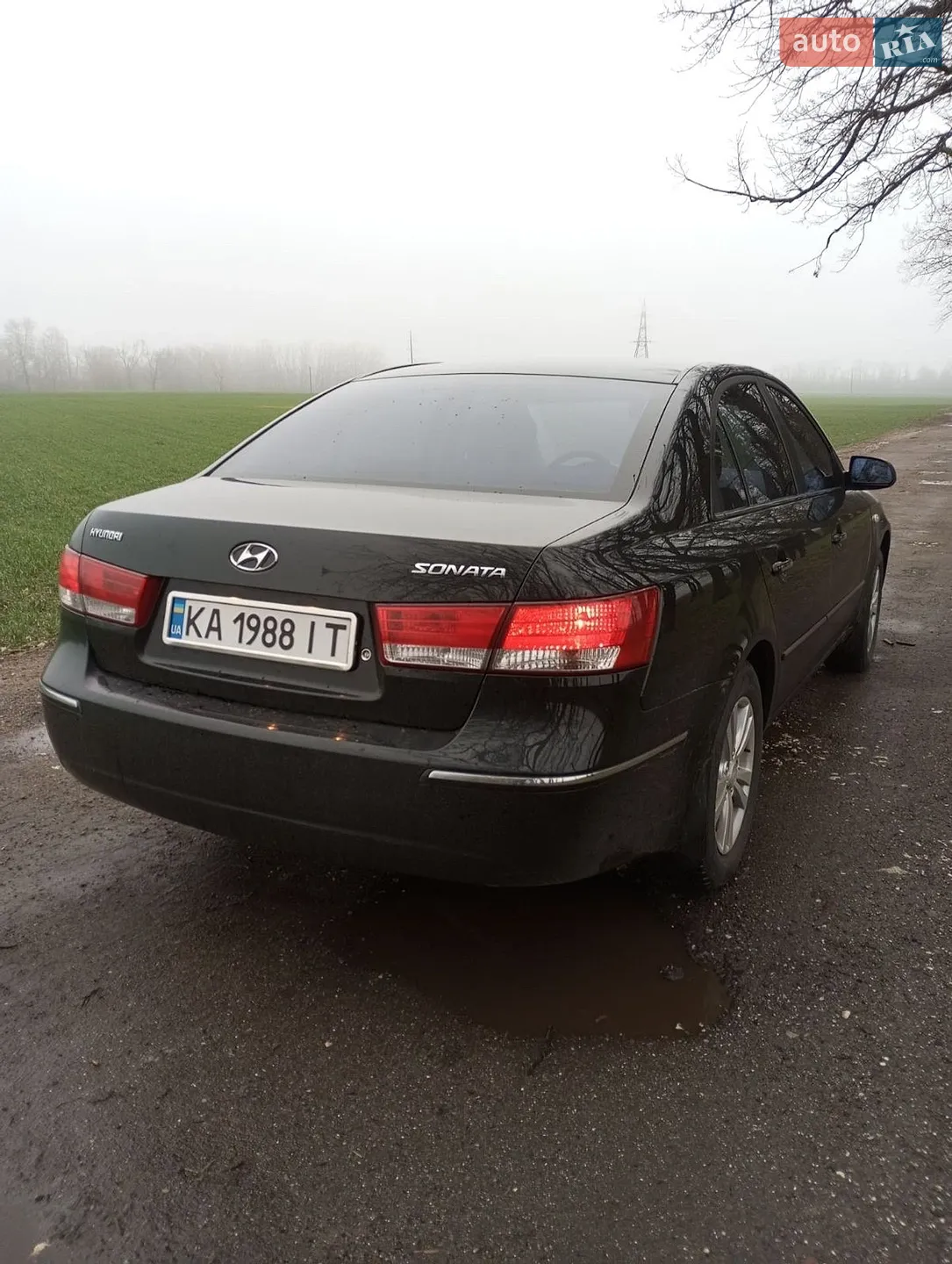 Hyundai Sonata 2008 VIN Y6LEU41AP9L003296 фото оголошення 5 з 10