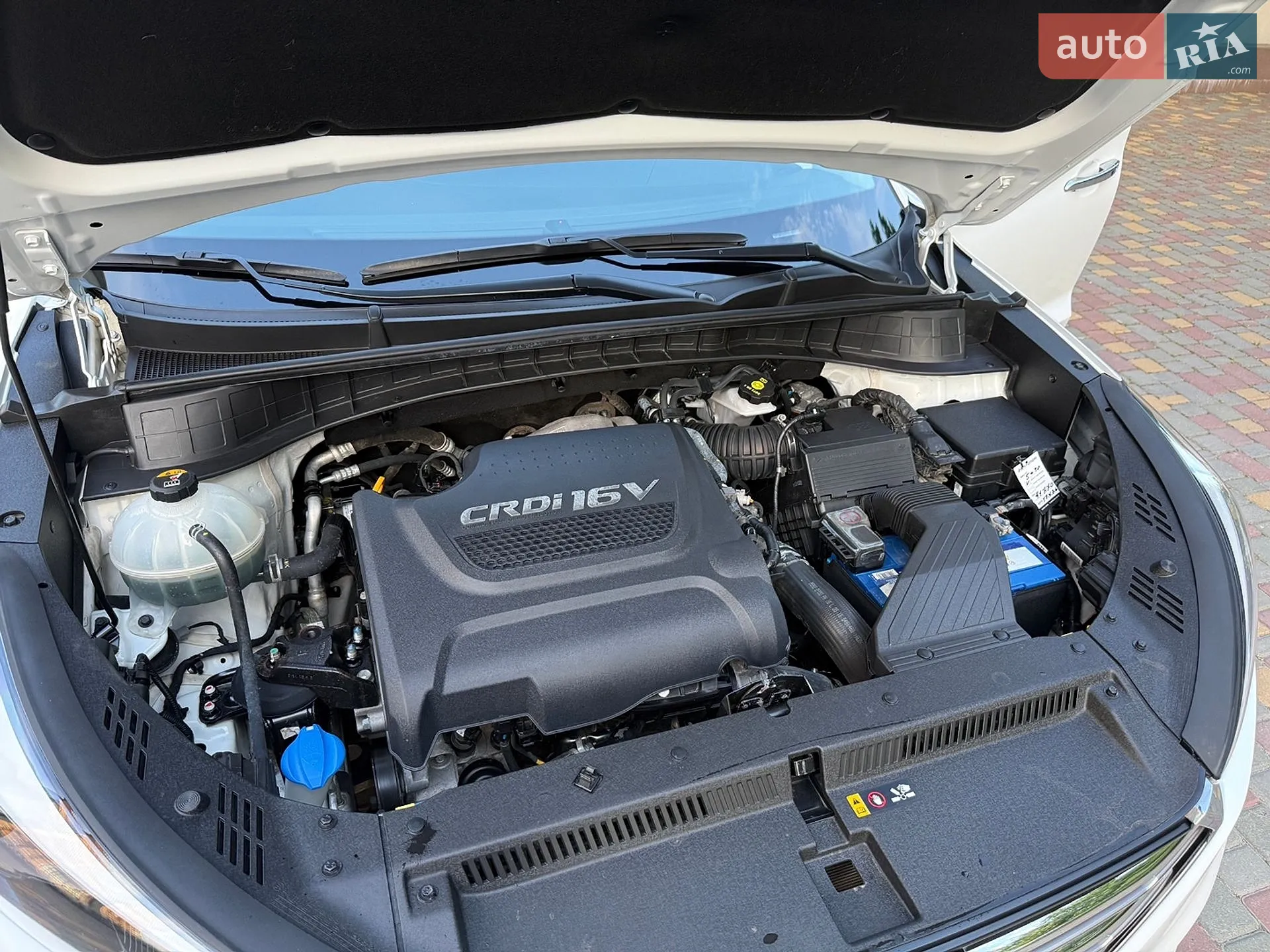 Hyundai Tucson 2017 VIN TMAJ381ADHJ393183 фото оголошення 29 з 68