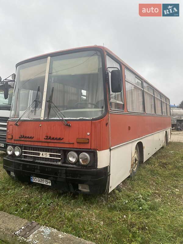 Ikarus 256