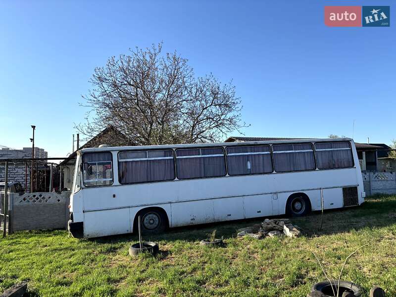 Туристичний / Міжміський автобус Ikarus 256 1987 в Одесі фото 3 Туристичний / Міжміський автобус Ikarus 256 1987 в Одесі