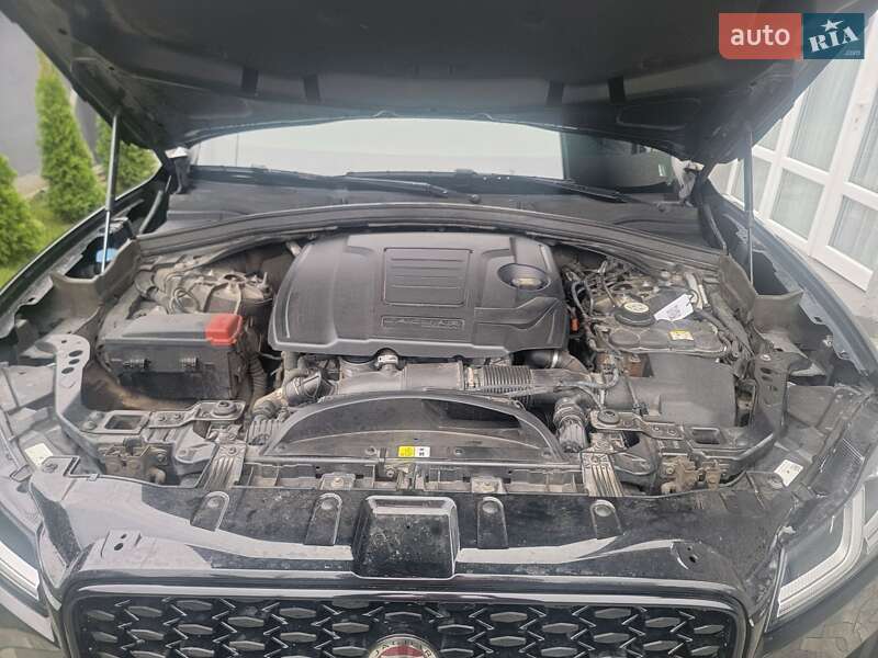 Внедорожник / Кроссовер Jaguar F-Pace 2021 в Борисполе