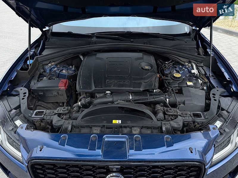 Внедорожник / Кроссовер Jaguar F-Pace 2021 в Ровно