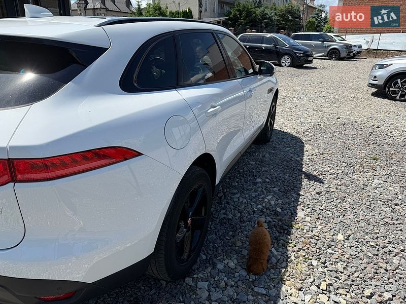 Внедорожник / Кроссовер Jaguar F-Pace 2017 в Черновцах