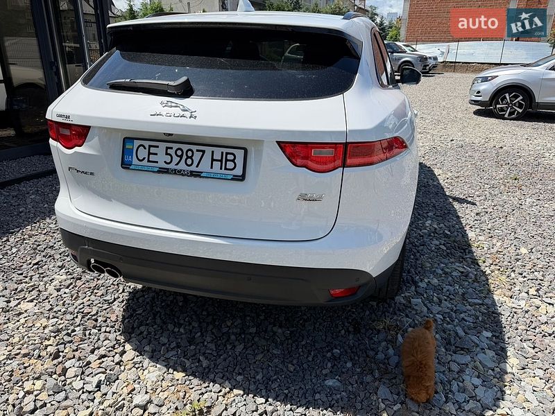 Внедорожник / Кроссовер Jaguar F-Pace 2017 в Черновцах