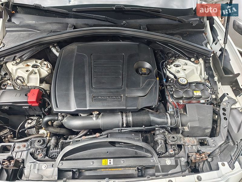 Внедорожник / Кроссовер Jaguar F-Pace 2018 в Тернополе