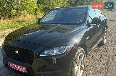 jaguar f-pace 2016 в Киев от профессионального продавца Саша